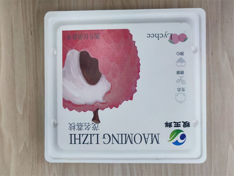 濕壓水果、茶葉、月餅紙托 (2)